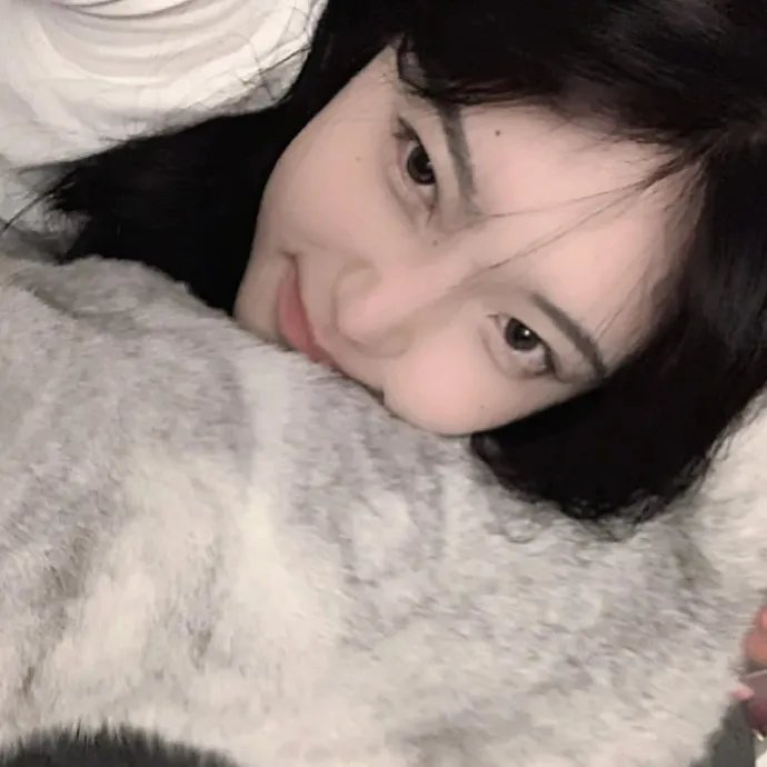 丧蒲夜柏林